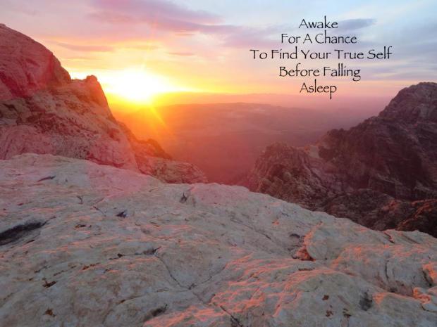 10665845_1467478780184583_8767650809658560647_n